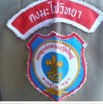 ภาพอ้างอิง อาร์มกองลูกเสือ